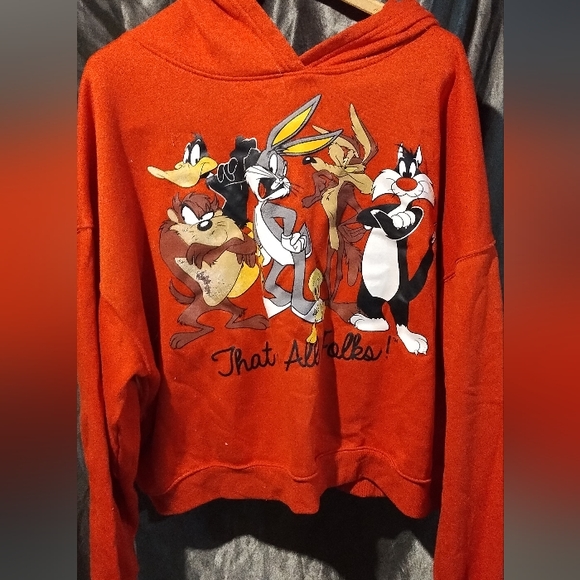 Vintage Looney tune sweater 2X - Picture 1 of 4